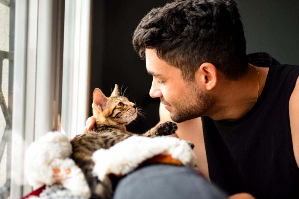 A male cat sitter taking care of a Bengal