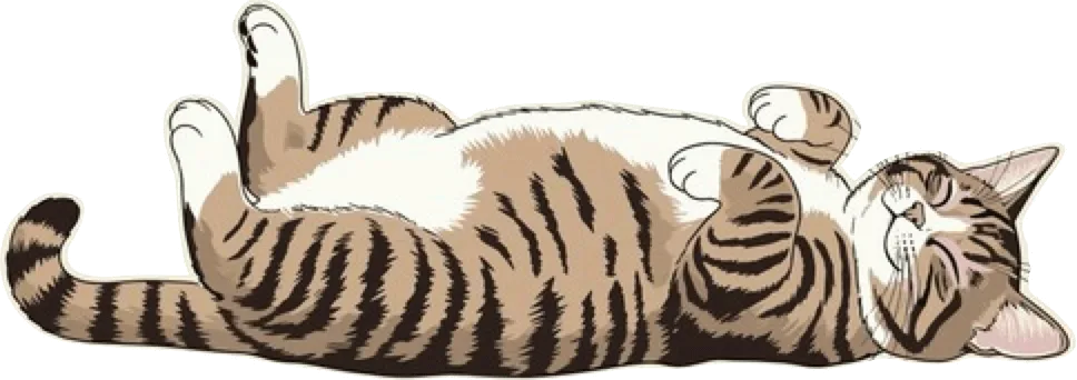 A cute tabby cat with a white belly