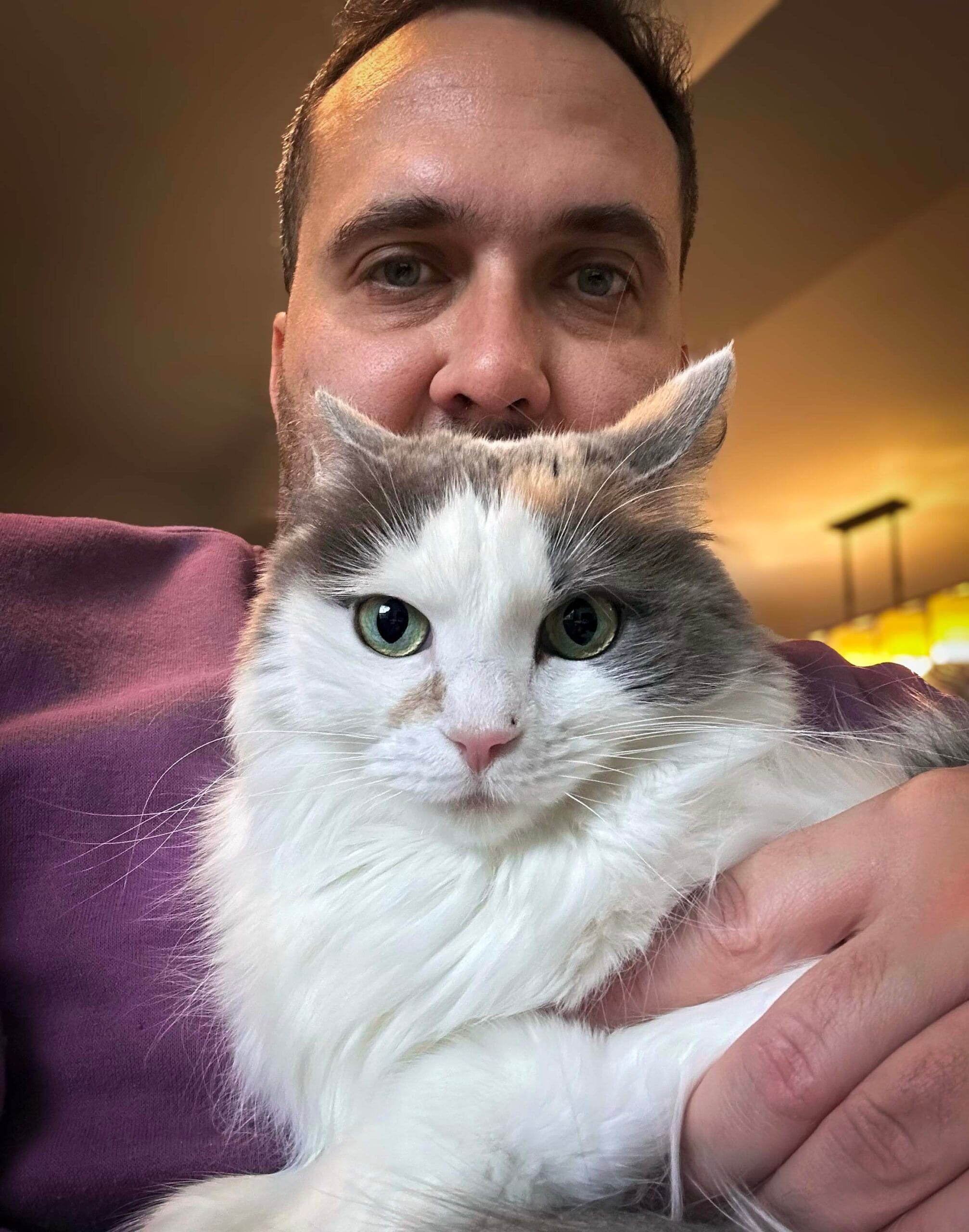 Felipe doing a cat sitting in London, Ontario