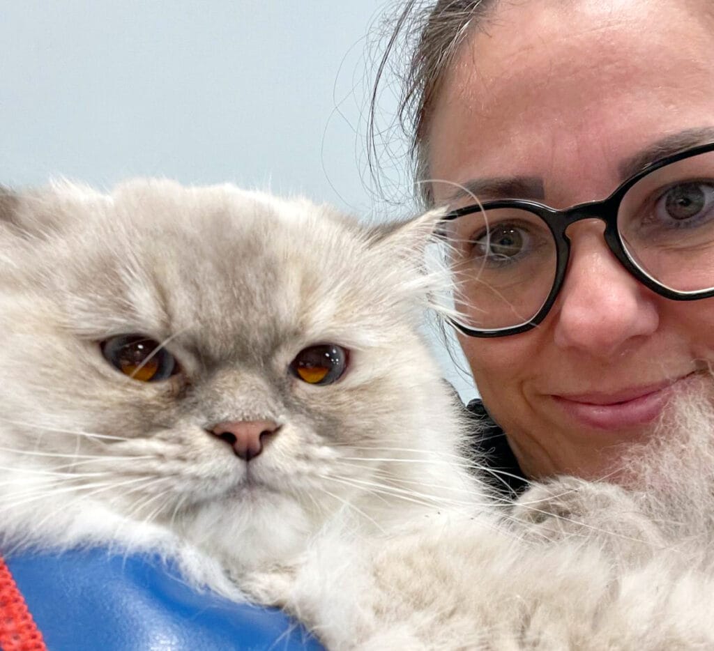 Simone with a persian cat, doing a cat sitting