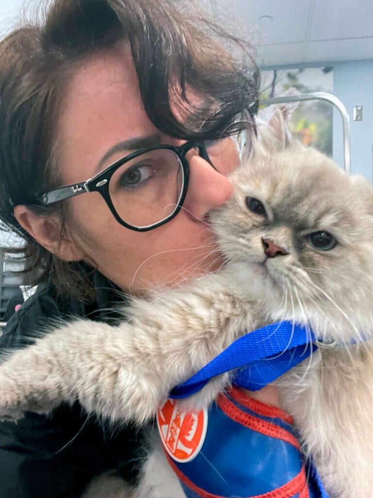 Simone, owner of Reliable Cat Sitting - London, Ontario, Canada